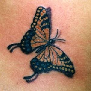 schmetterling tattoo 1026