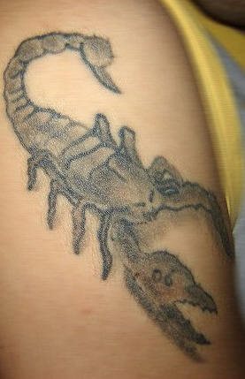 skorpion tattoo 1060
