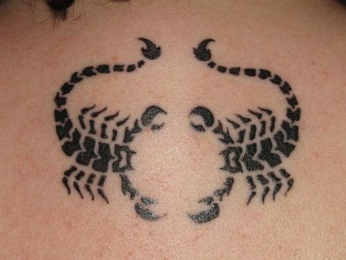 skorpion tattoo 1168