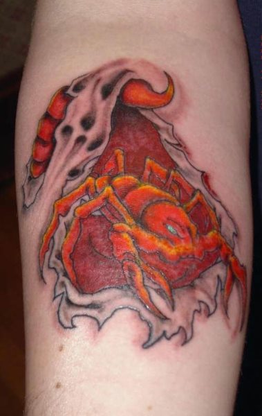 skorpion tattoo 1072