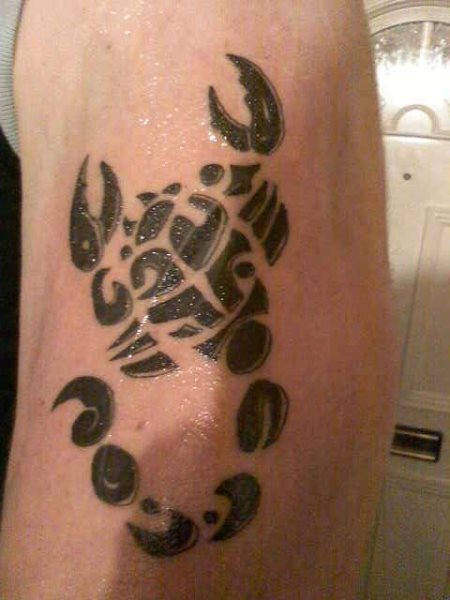 skorpion tattoo 1085