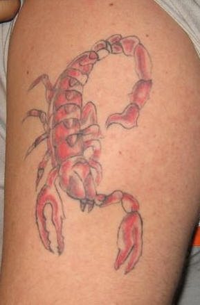 skorpion tattoo 1100