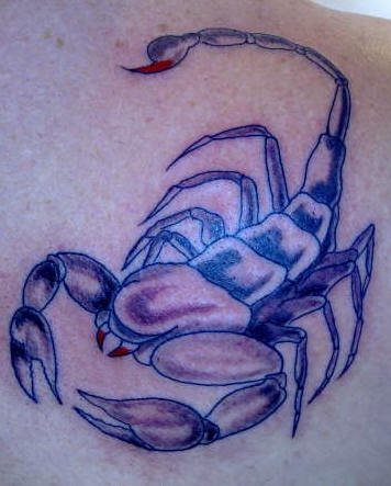 skorpion tattoo 1040