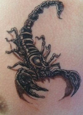 skorpion tattoo 1048