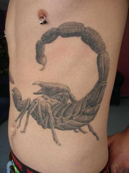 skorpion tattoo 1051