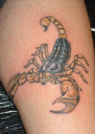 skorpion tattoo 1054