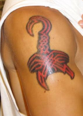 skorpion tattoo 1057