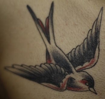 spatz tattoo 1050