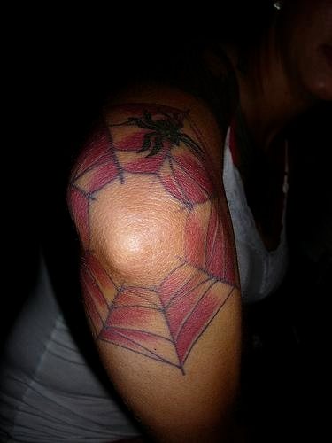 spinne tattoo 500