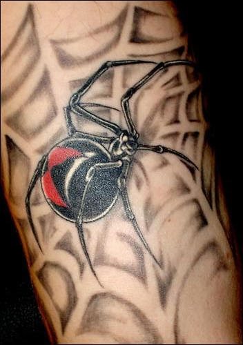 spinne tattoo 503