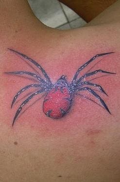 spinne tattoo 504