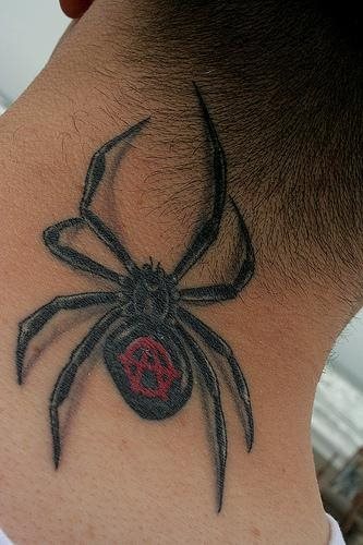 spinne tattoo 505