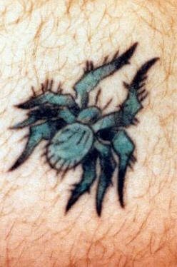 spinne tattoo 506
