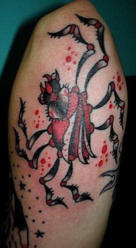 spinne tattoo 507