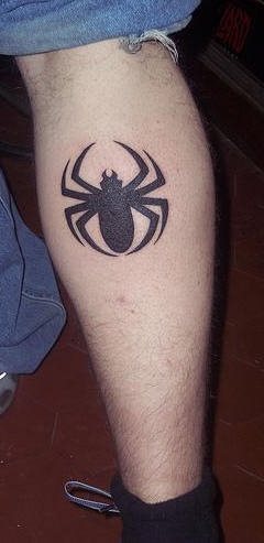 spinne tattoo 508