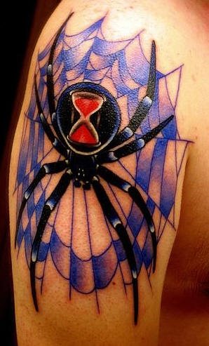 spinne tattoo 509