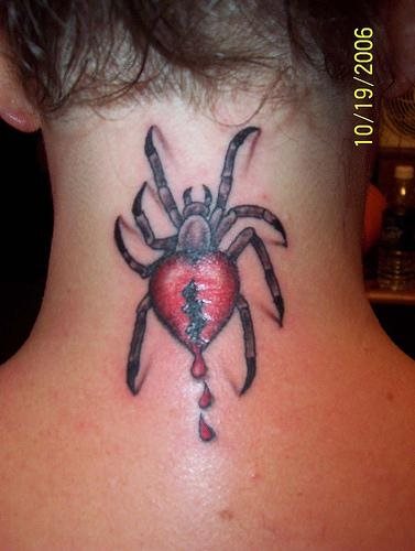 spinne tattoo 510