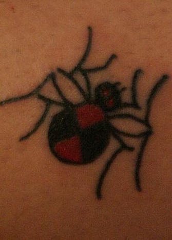 spinne tattoo 511