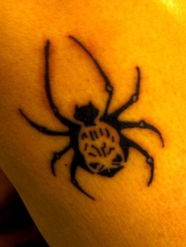 spinne tattoo 513