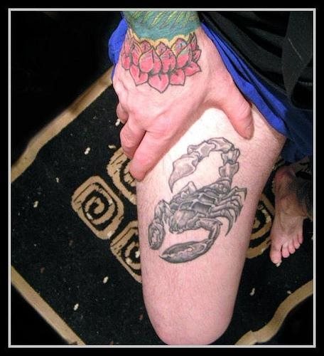 spinne tattoo 515