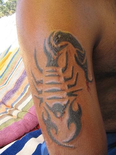 spinne tattoo 518