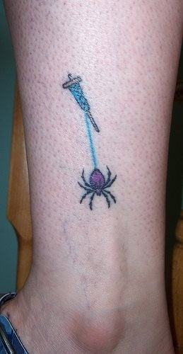 spinne tattoo 520