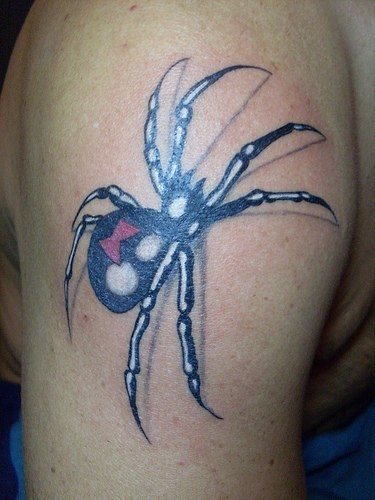 spinne tattoo 528