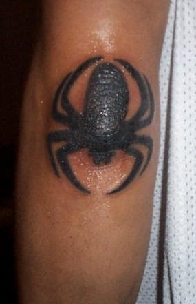 spinne tattoo 529