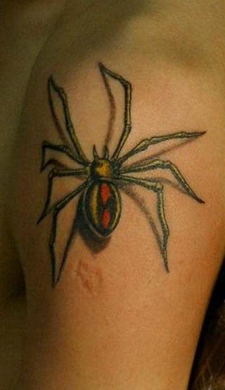 spinne tattoo 531