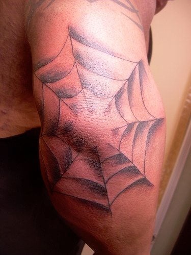 spinne tattoo 532