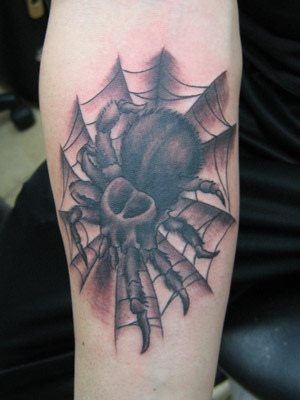 spinne tattoo 534