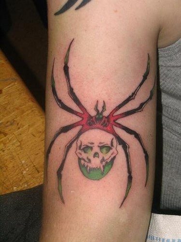 spinne tattoo 535