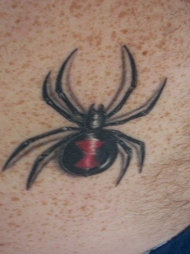 spinne tattoo 537