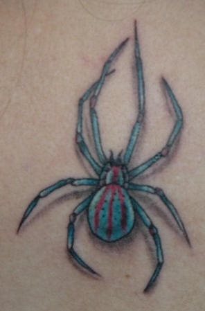 spinne tattoo 538
