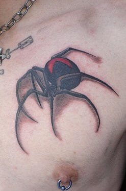 spinne tattoo 539