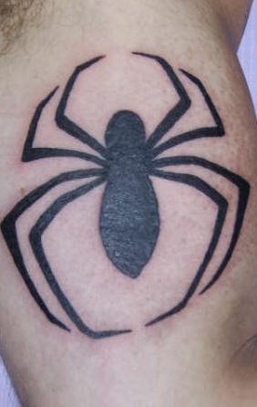 spinne tattoo 540