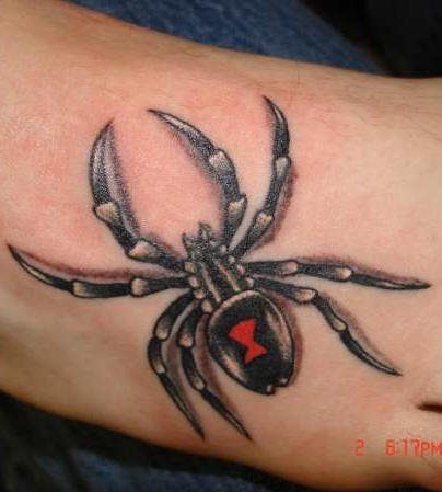 spinne tattoo 542