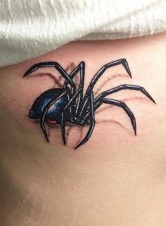 spinne tattoo 543