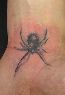 spinne tattoo 545