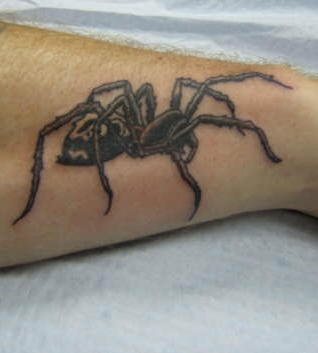 spinne tattoo 546