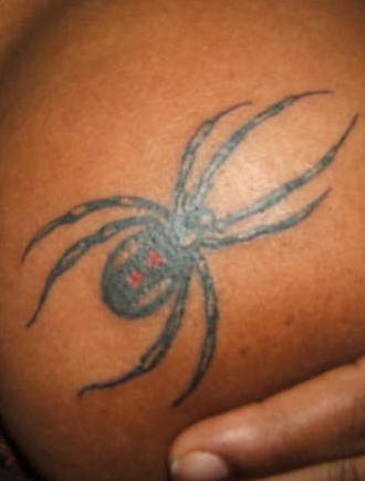 spinne tattoo 549