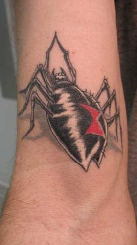 spinne tattoo 551