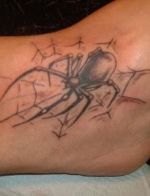 spinne tattoo 552