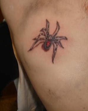 spinne tattoo 554
