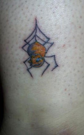 spinne tattoo 555