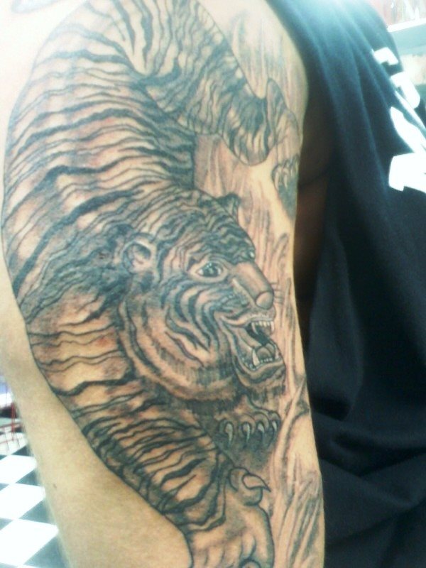 tier tattoo 187