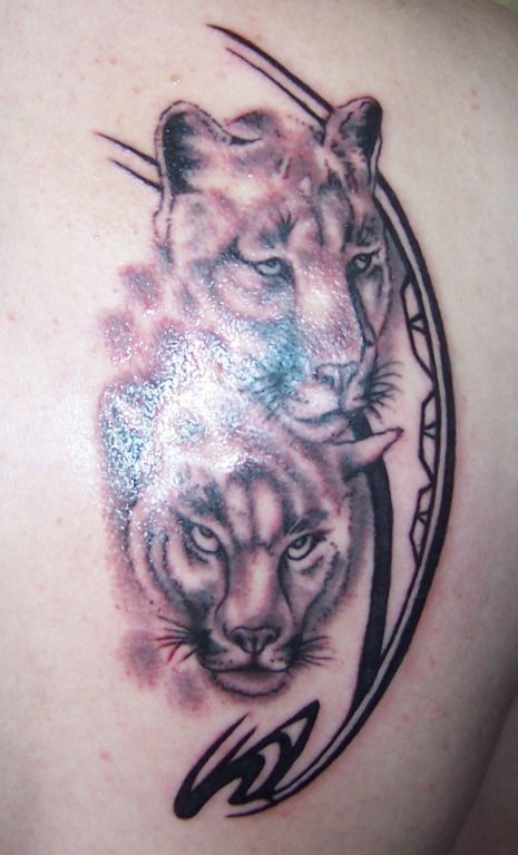 tier tattoo 193