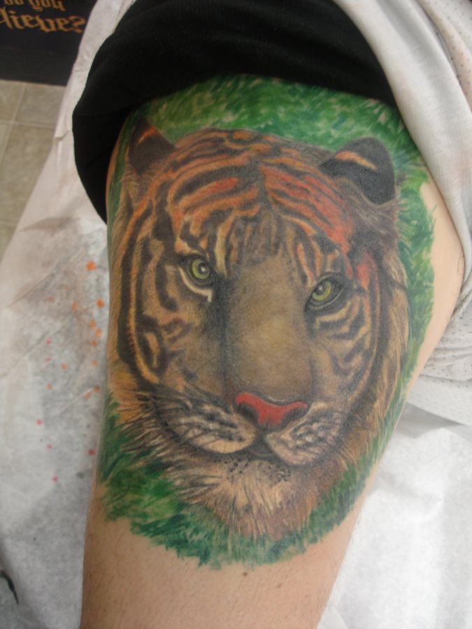 tier tattoo 206