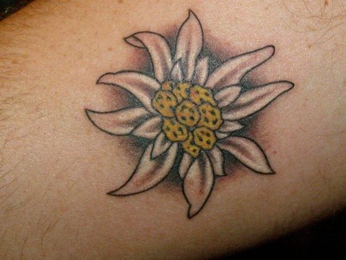 unterarm tattoo 517