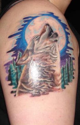 wolf tattoo 1050